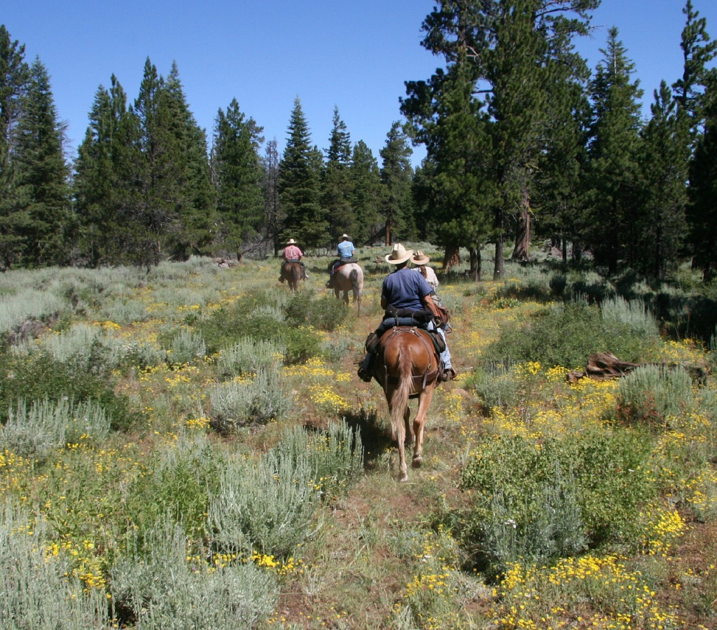 Colorado Camping Destinations