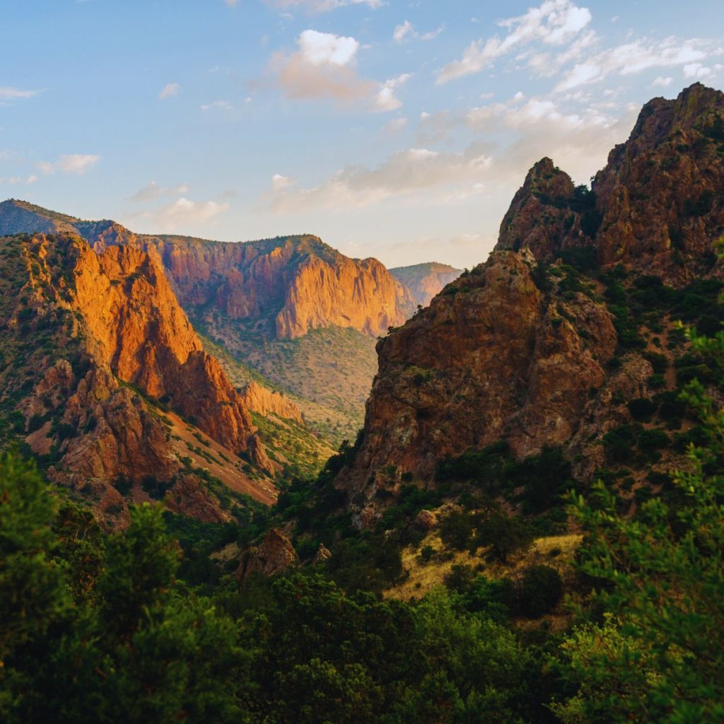 big bend mountains and canyons with trees and greenery everywhere